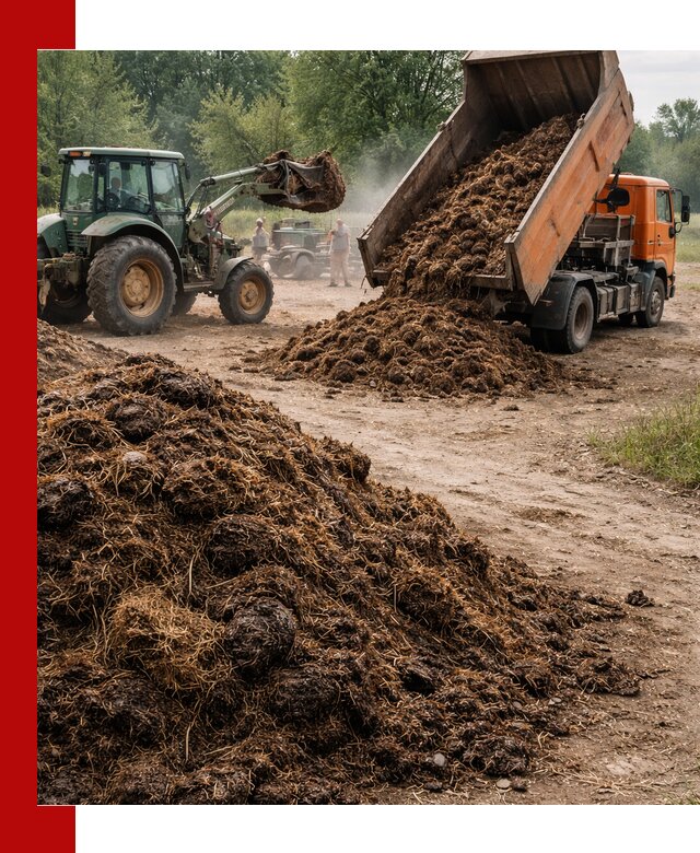 Доставка навоза самосвалами в Новом Уренгое для сельхозпотребностей